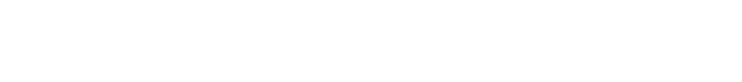 Adoptionisanoption Logo